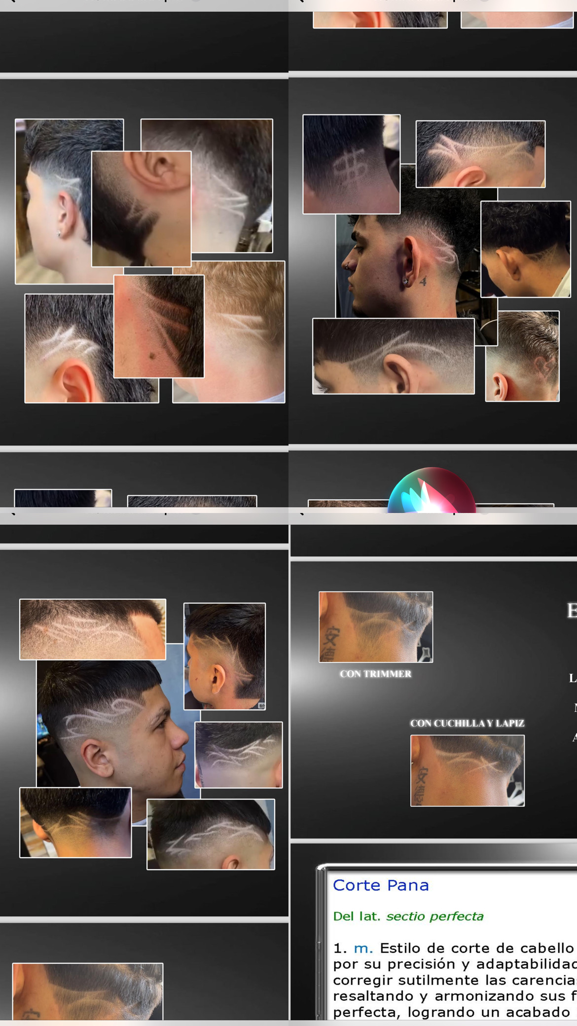 Peluqueria en vivo